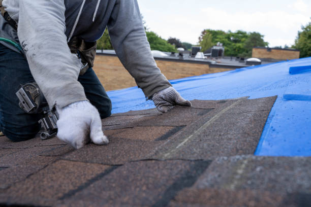 Professional Roofing Contractor in Alexandria, IN